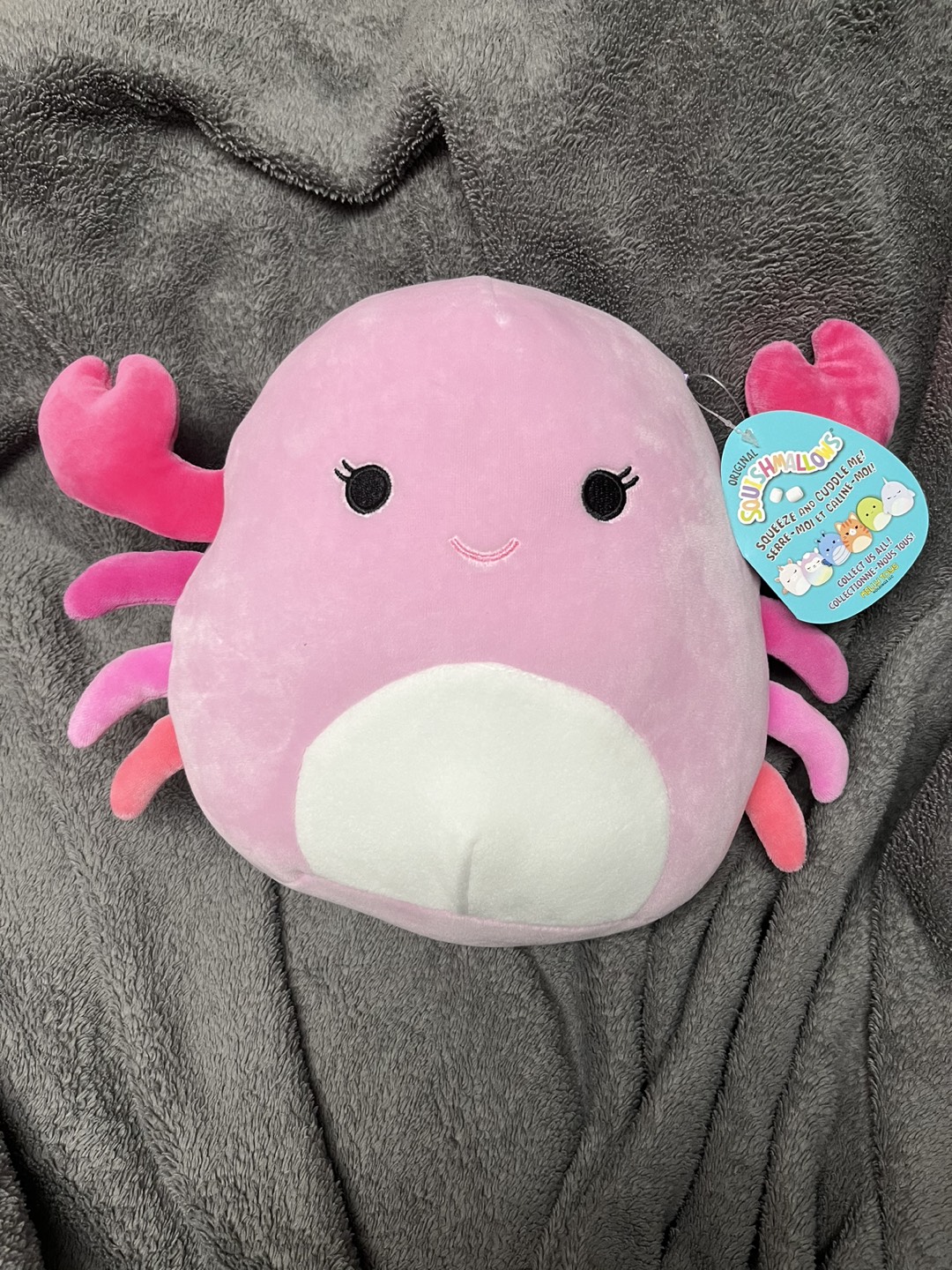 Cailey the crab squishmallow thumbnail