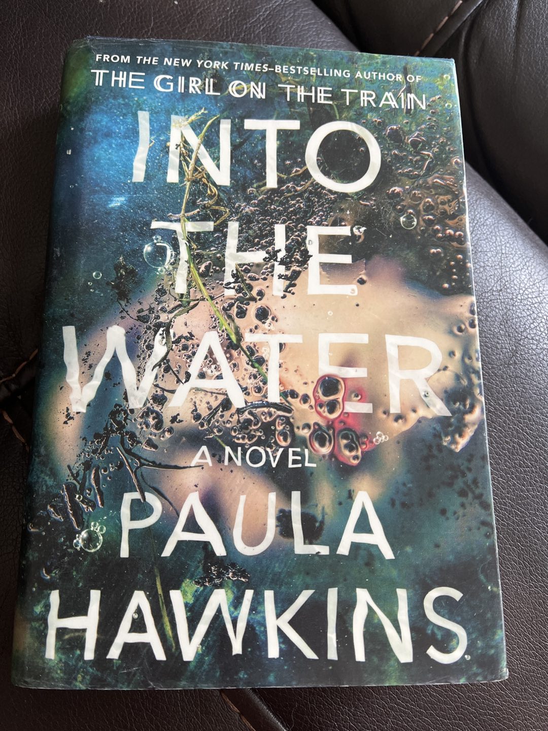 Into the water by Paula Hawkins book 💰 thumbnail