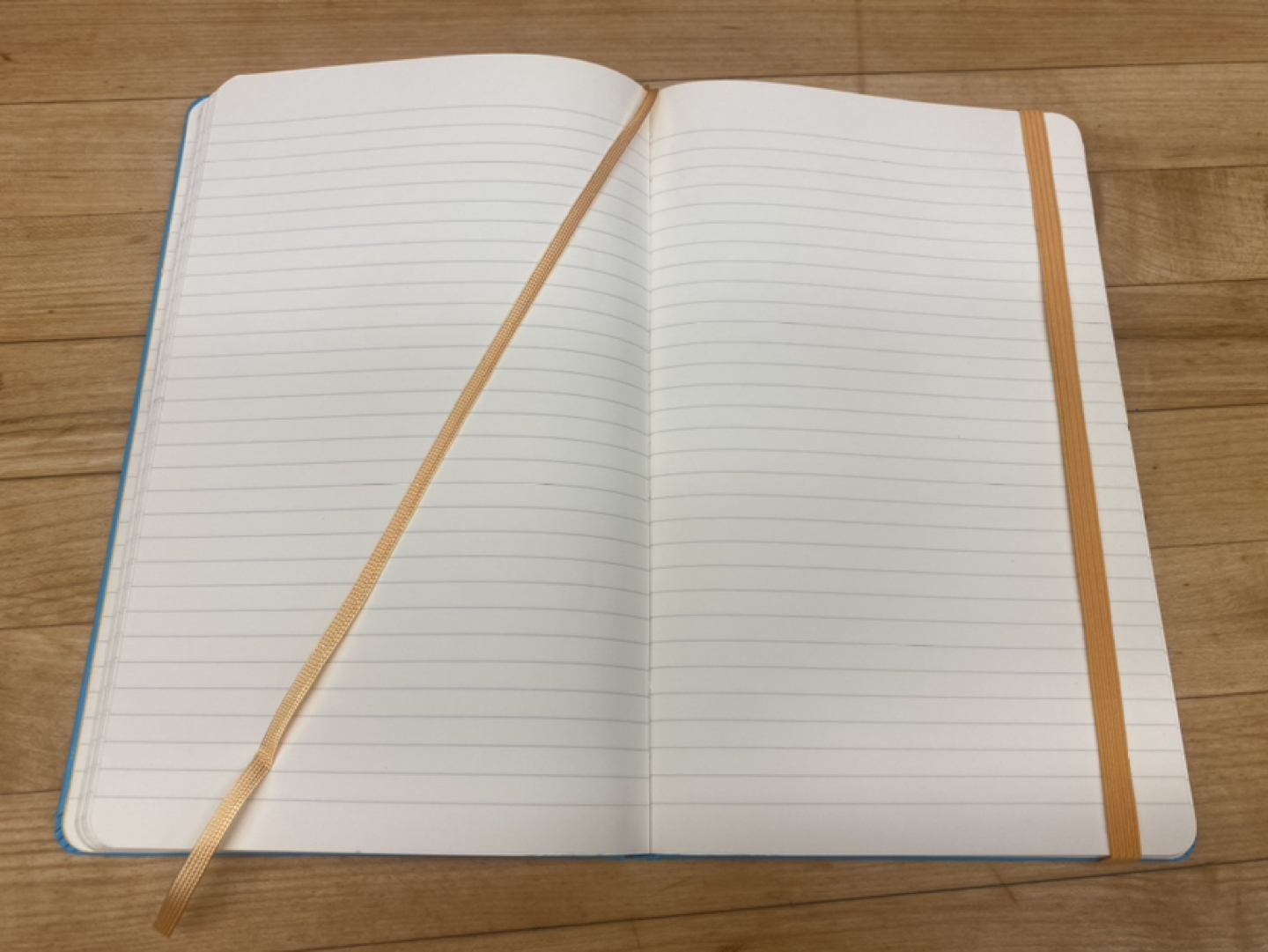 Moleskine Limited Edition Dr. Seuss Notebook image indicator(5)