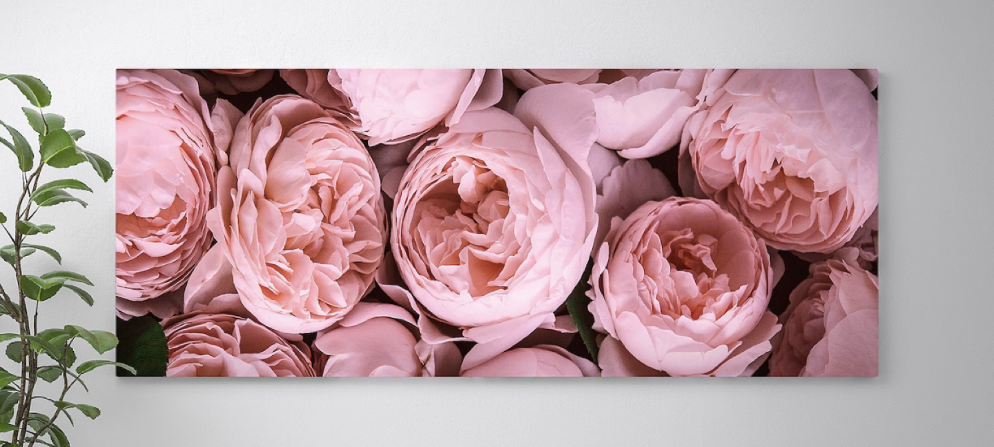 Poster/wall art