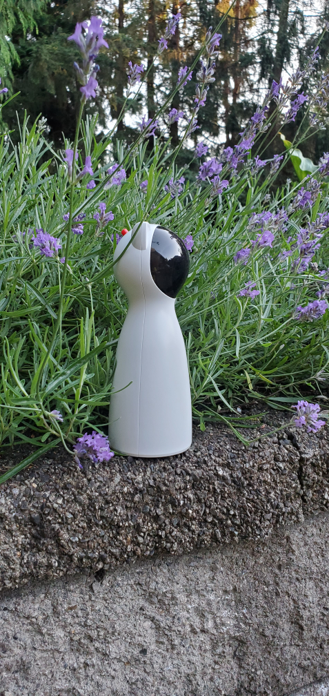 💰Cat Interactive lazer toy automatic lazer pointer image indicator(6)