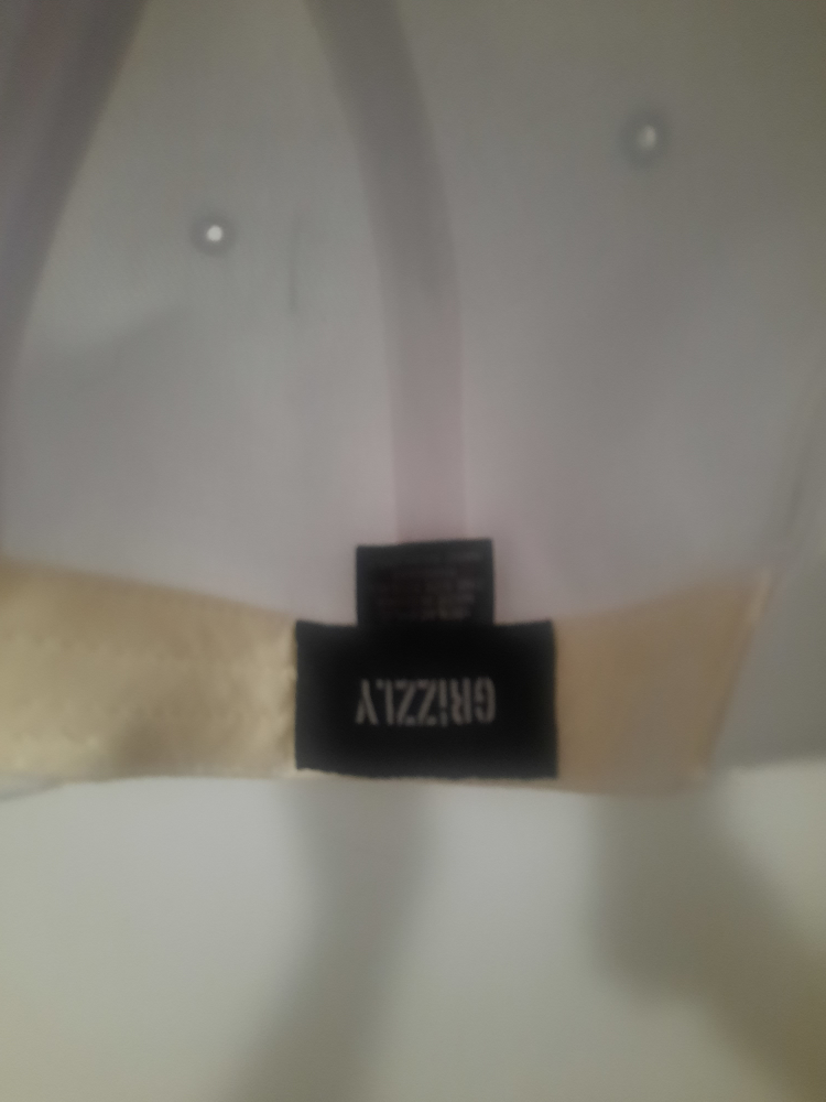 GRiZZLY SNAPBACK OBO - photo 2