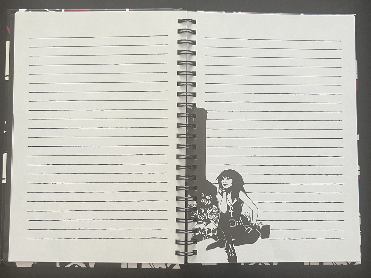 Death Blank Journal (Neil Gaiman Sandman Series) - photo 3