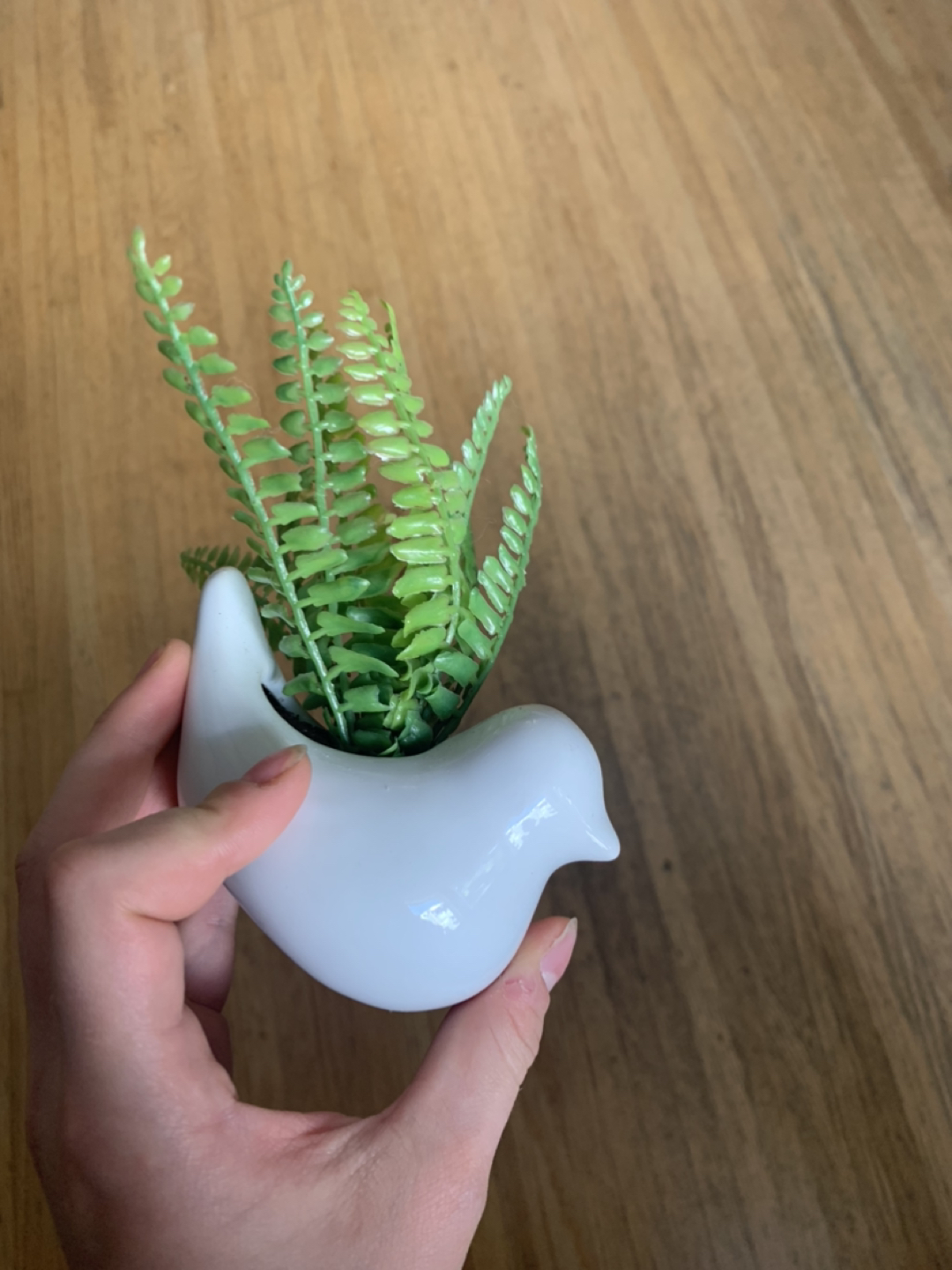 Fake plant in bird planter - Free! #freecycle image indicator(2)