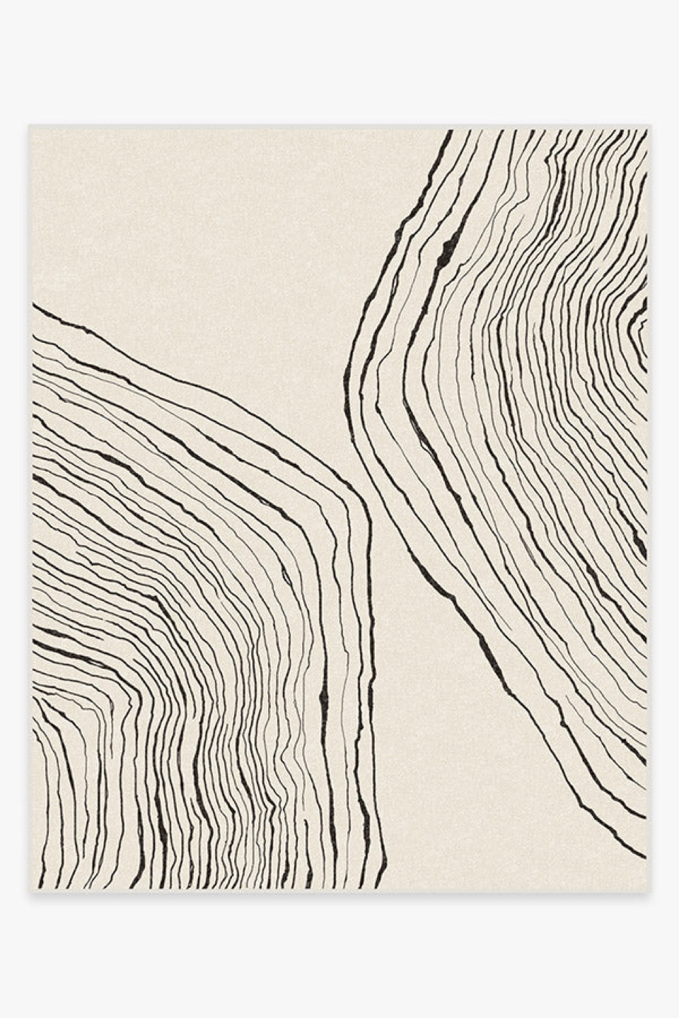 Brand New Rug from Ruggable