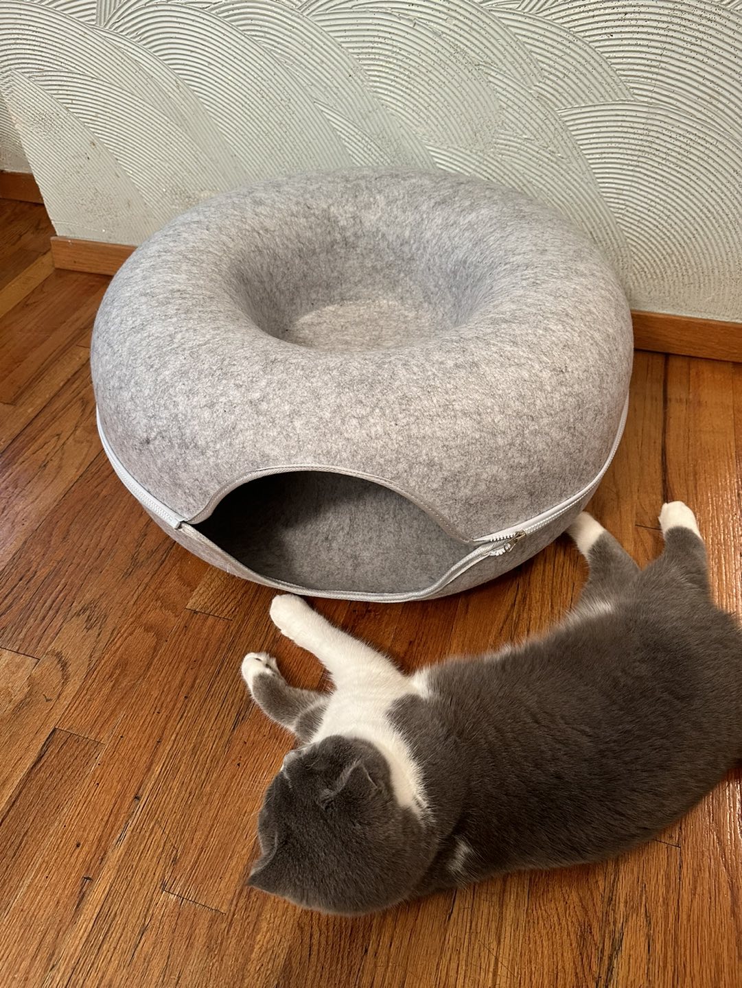 Large Cat Tunnel Bed - 24 inch - photo 2