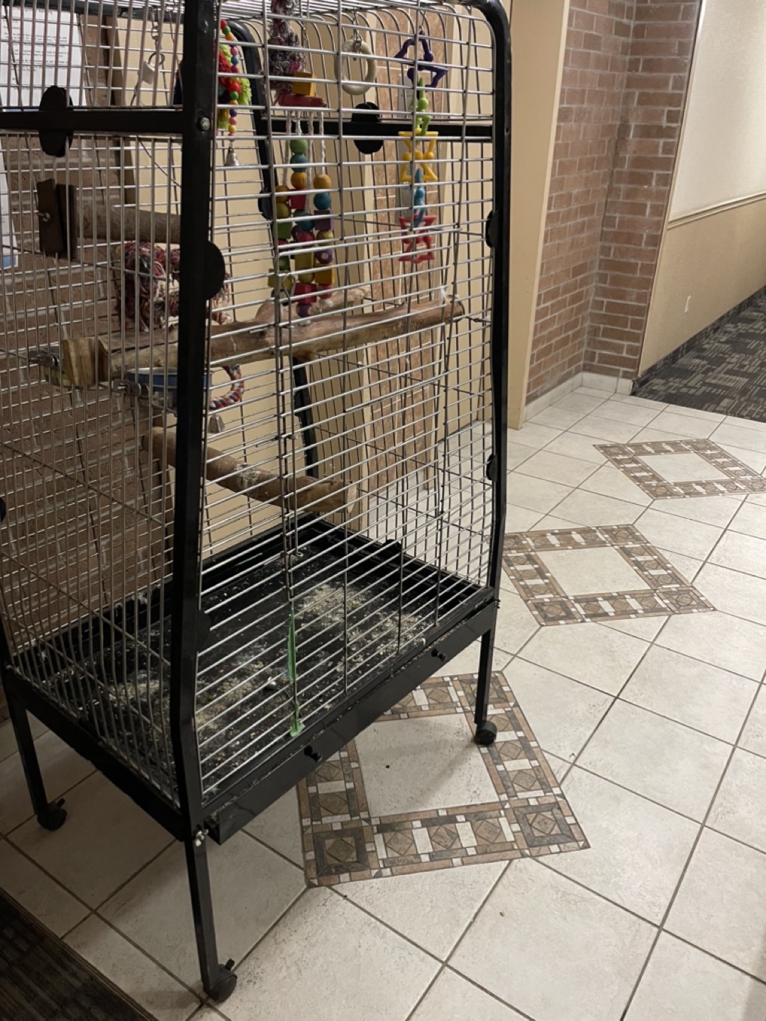 Xxl parrot cage image indicator(2)