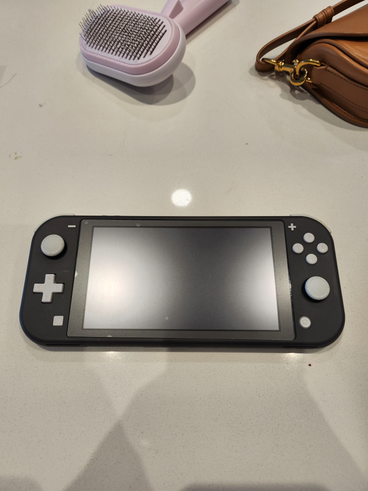 switch lite