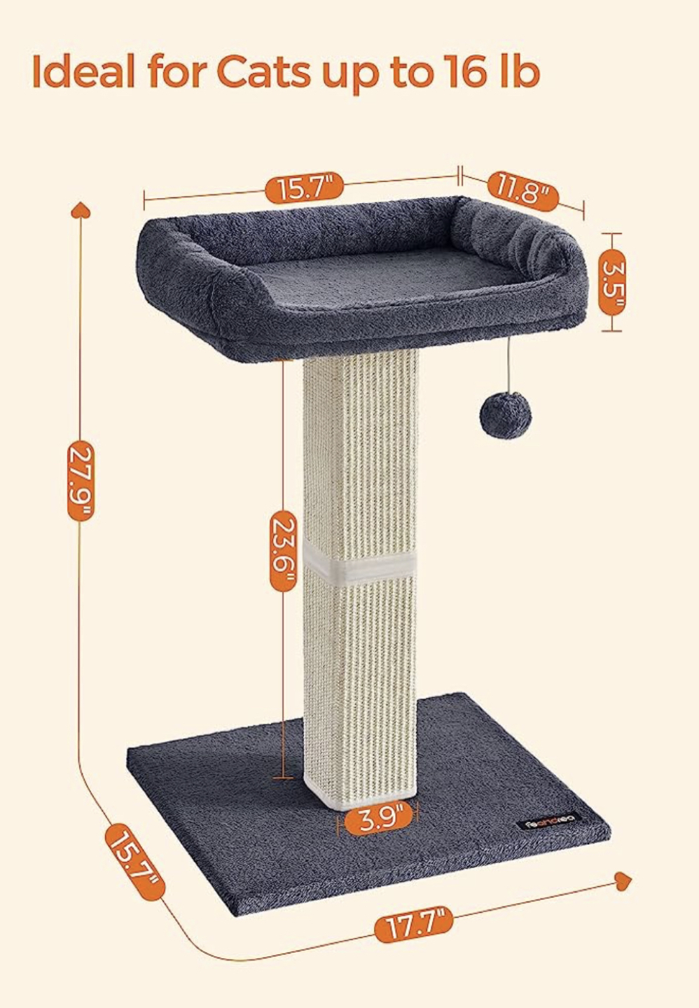 Cat scratch post thumbnail