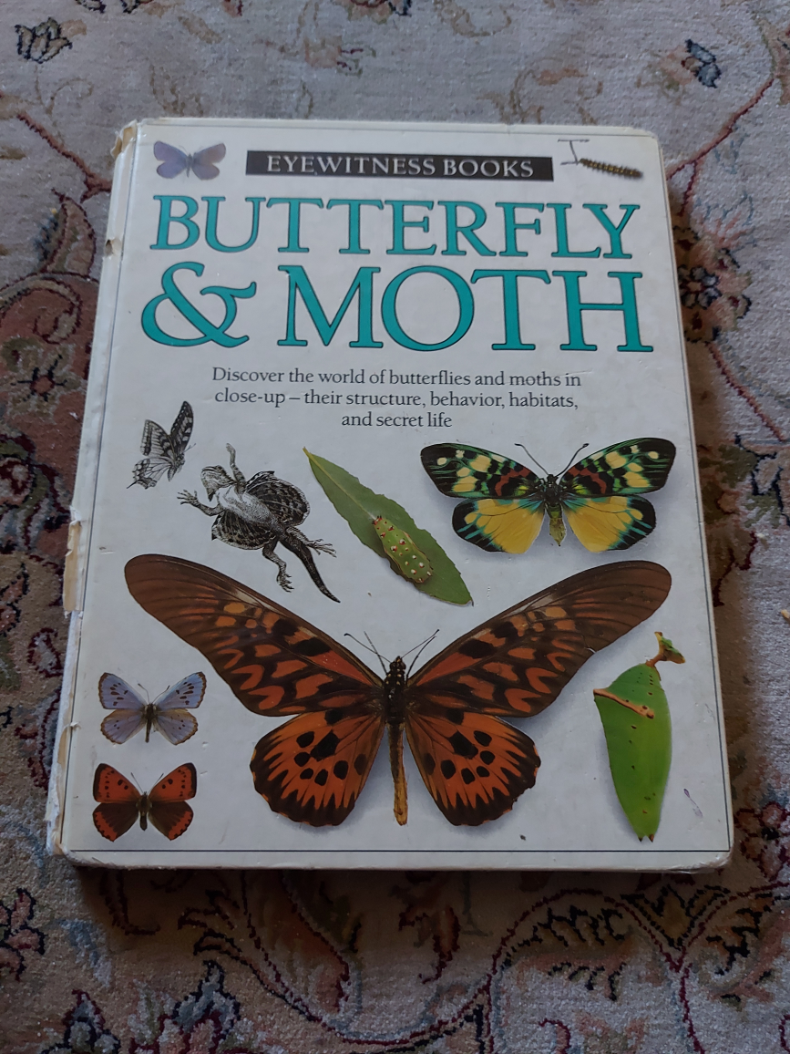 butterfly book #freecycle thumbnail