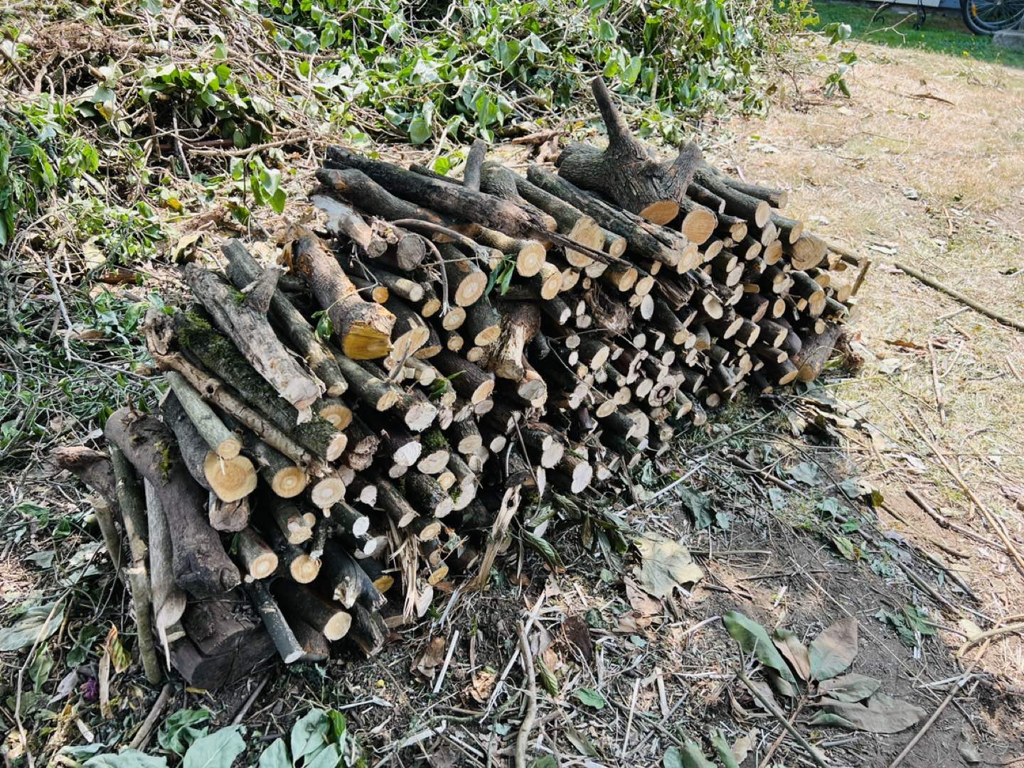 Firewood thumbnail