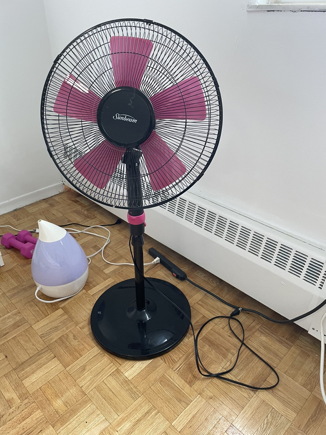 Fan Sunbeam $30 thumbnail