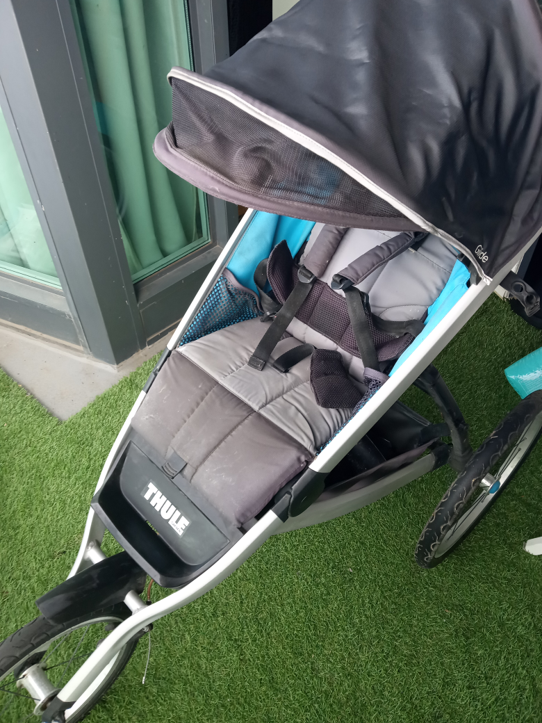 Thule Urban Glide 1 Running Stroller - photo 2