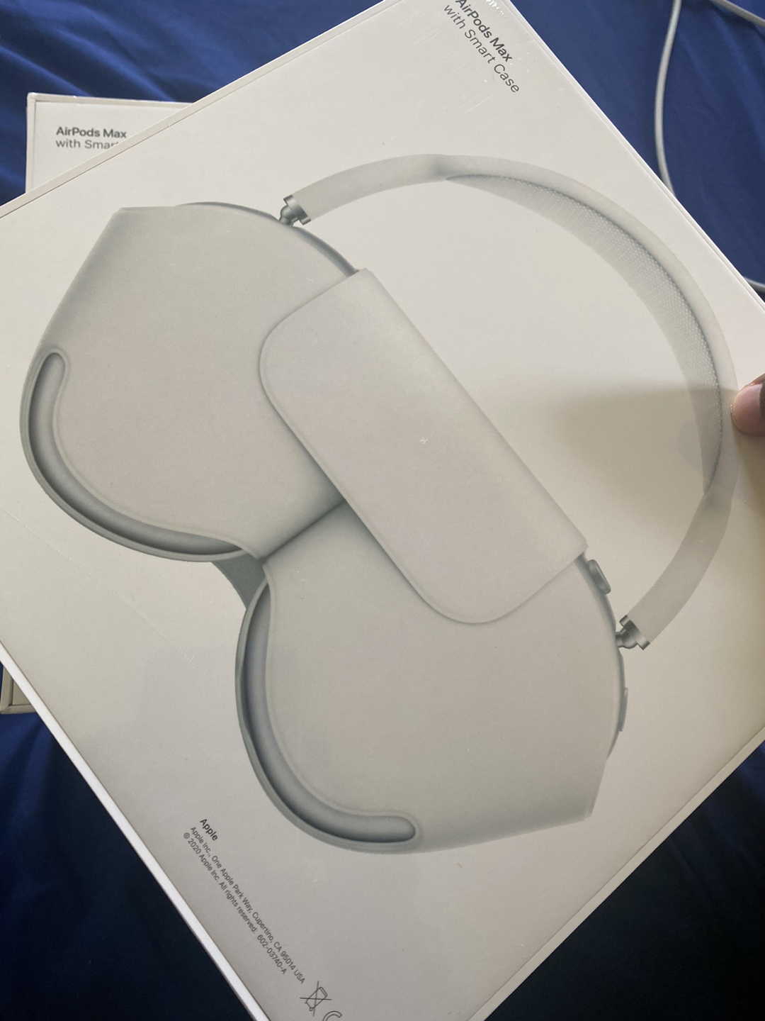 Apple Airpods Pro - Silver - photo 2