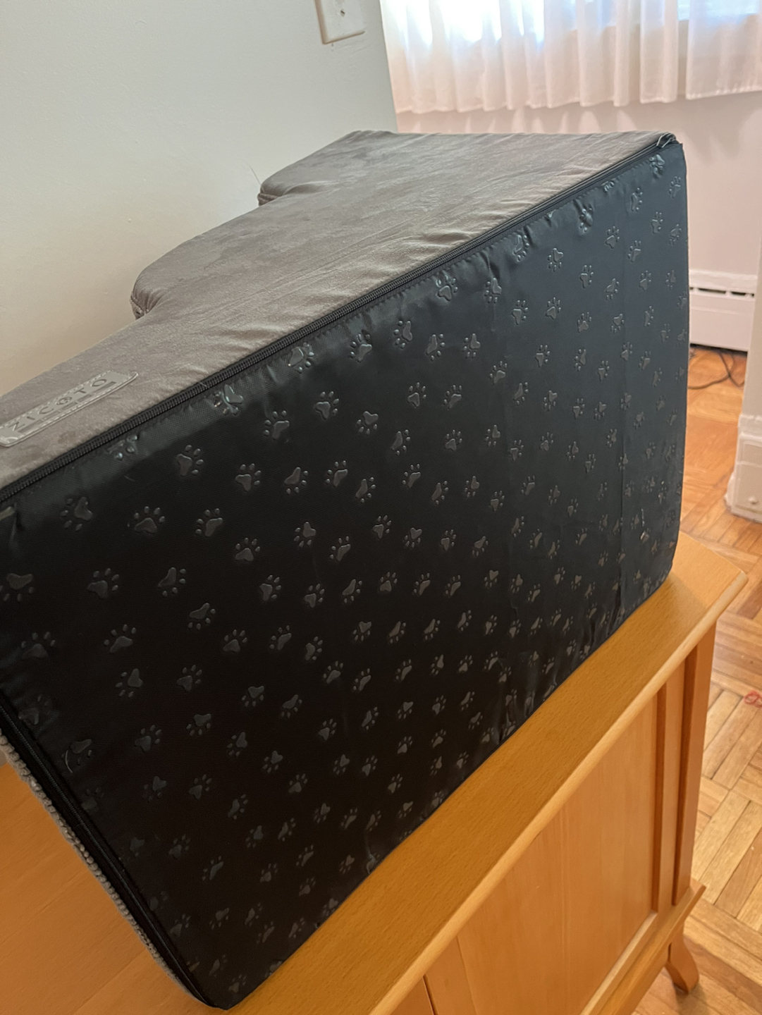 Pet climb stairs to sofa image indicator(3)