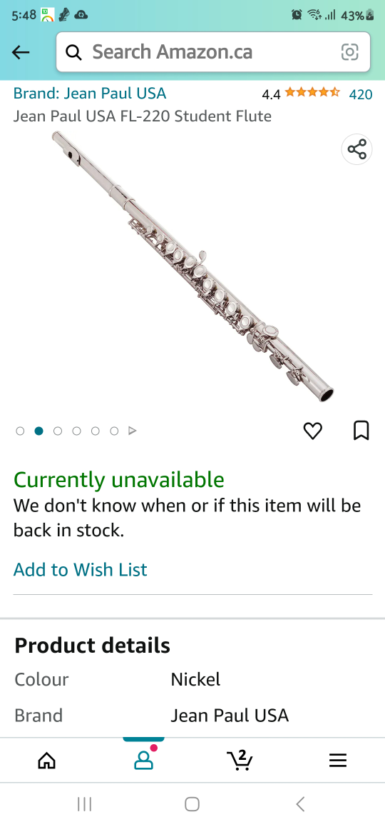flute - photo 3