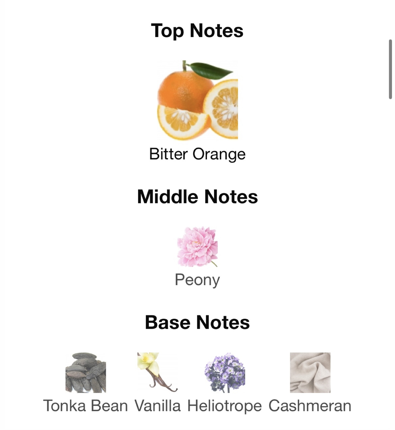 Love me/Hate me - Suicide Blonde EDP 100ml image indicator(3)