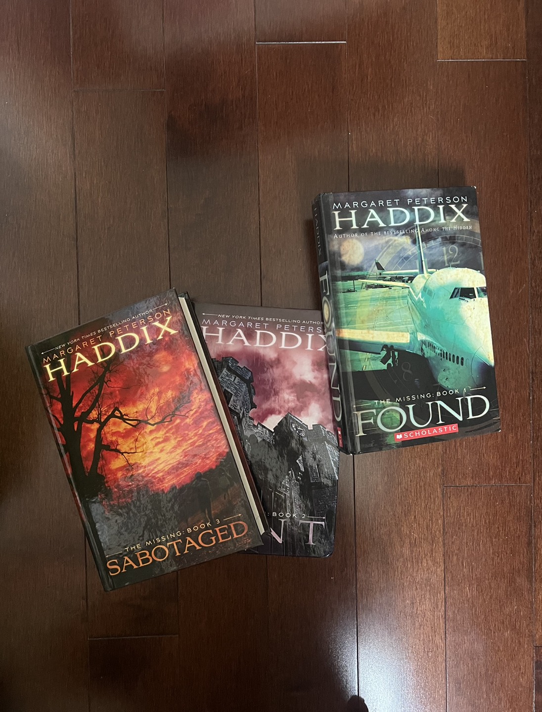 the missing book series 📕