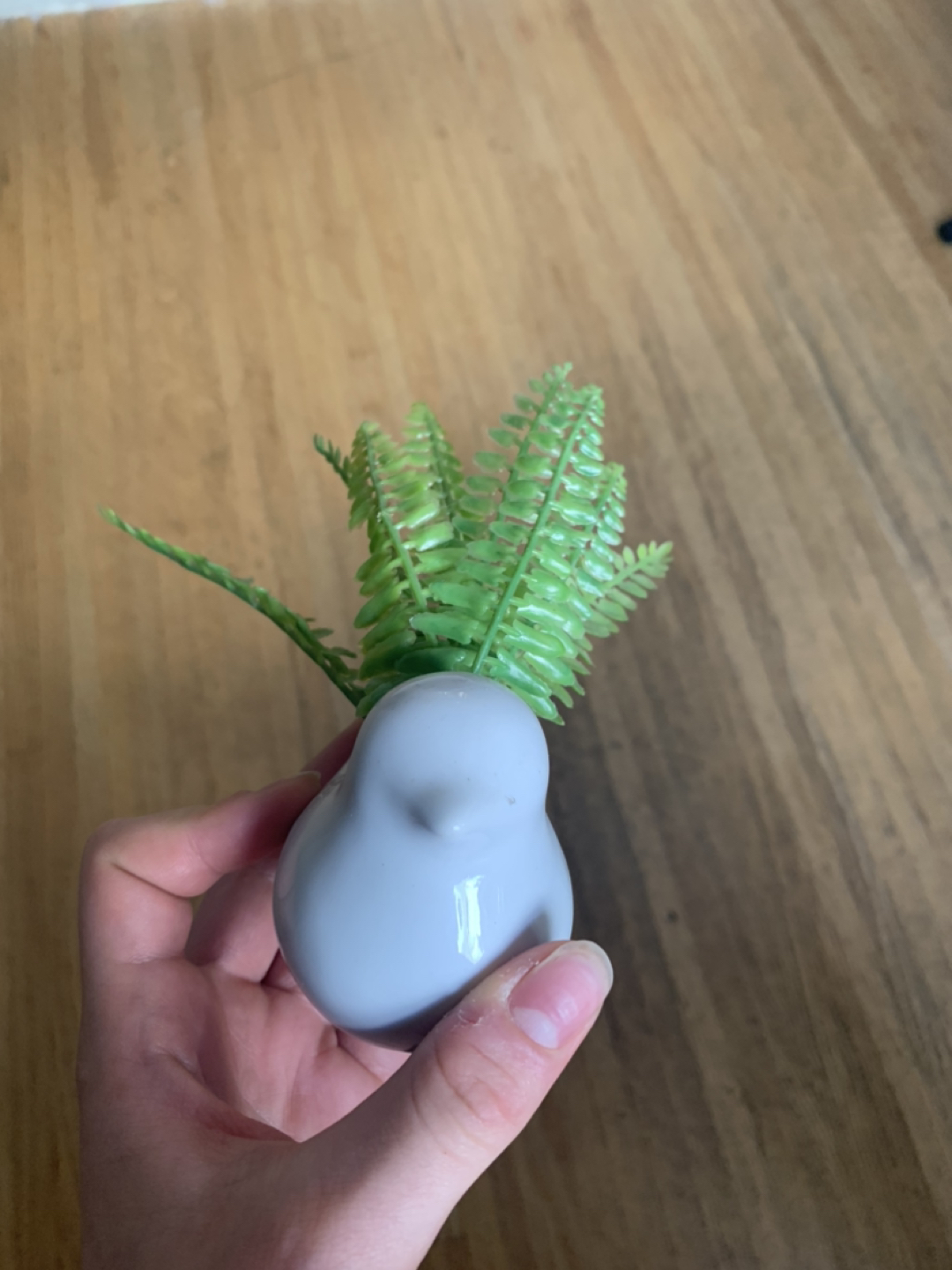 Fake plant in bird planter - Free! #freecycle image indicator(4)