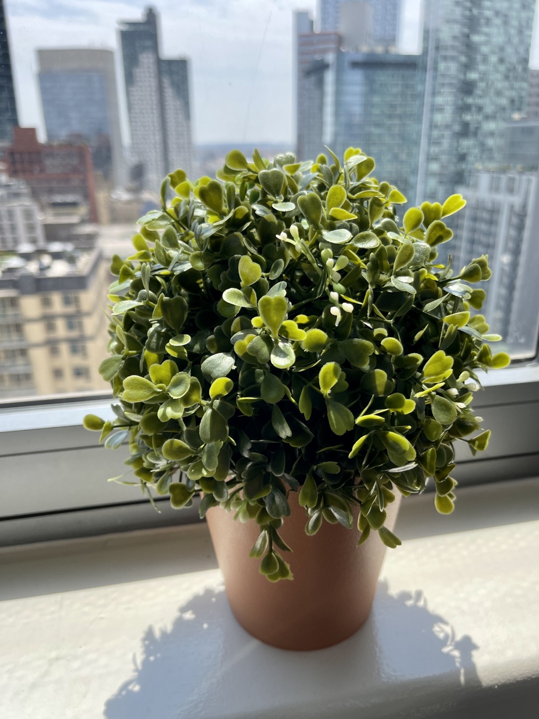 Brand New Faux Boxwood Topiary/Artificial Plant - photo 2