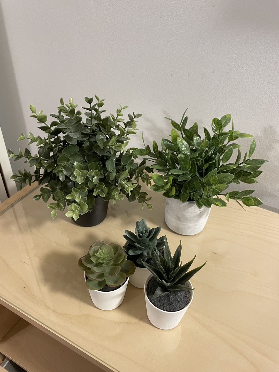 IKEA plants