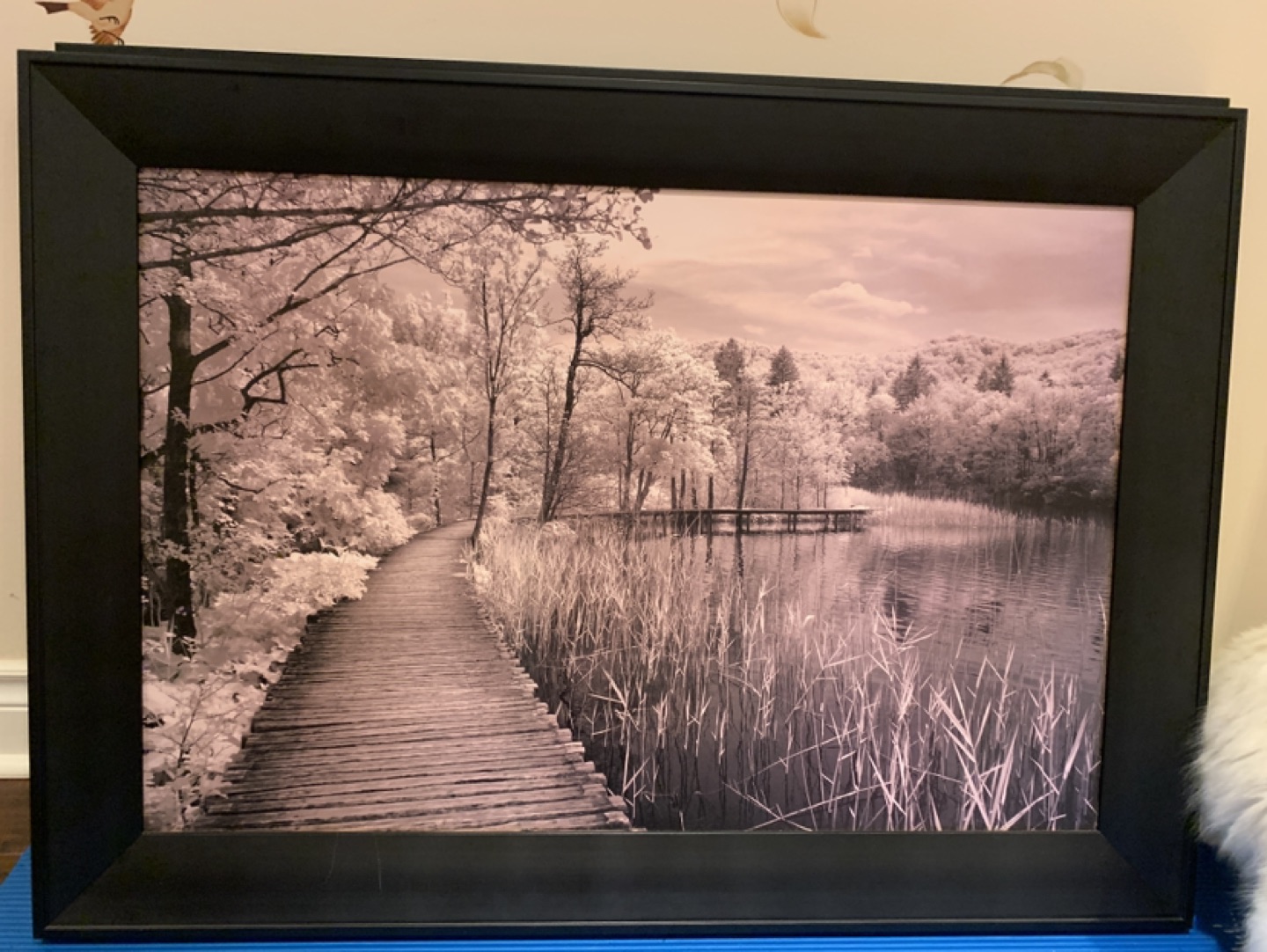 Two beautiful Picture and Frames image indicator(2)