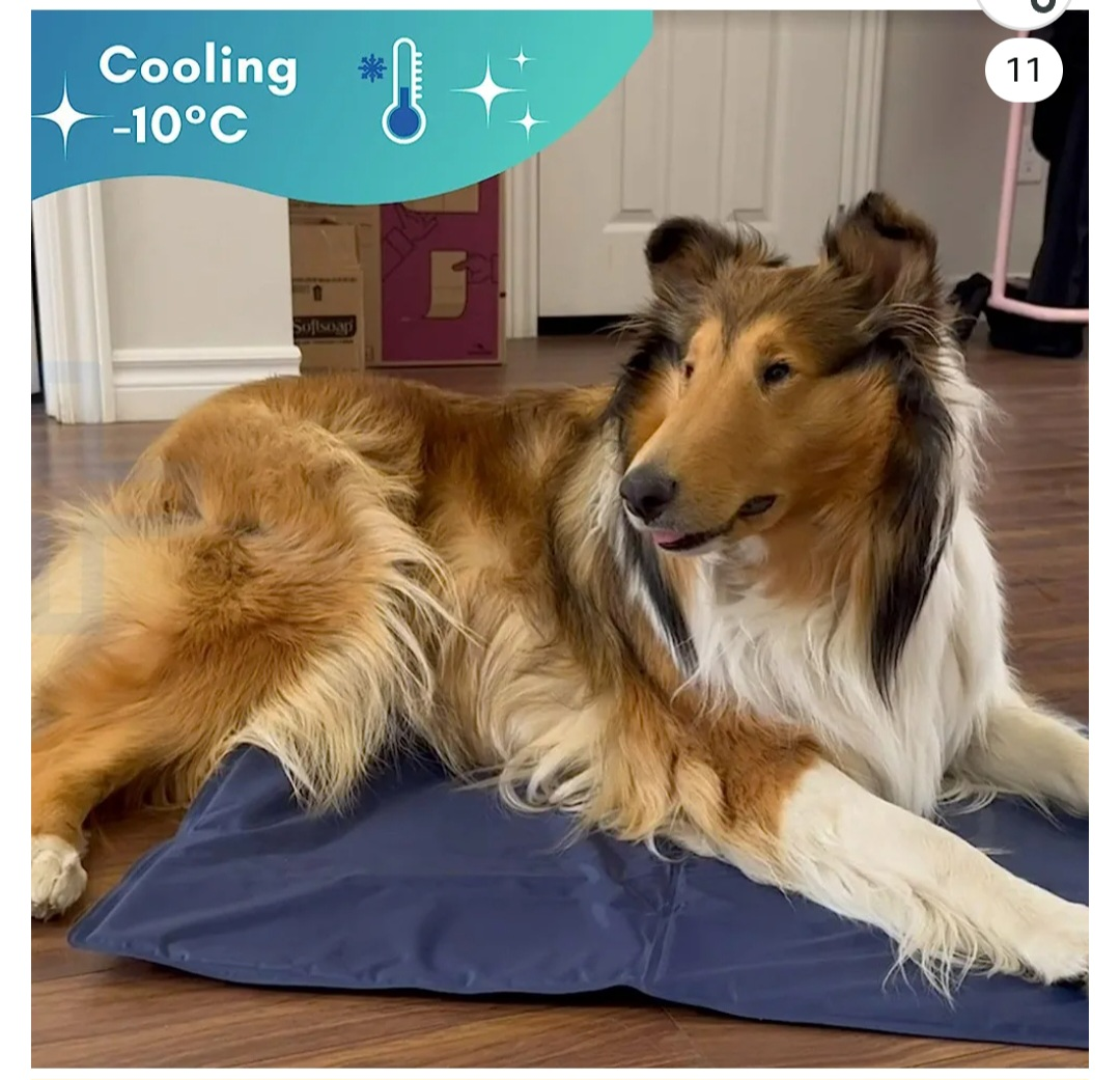 Brand New Cooling Mat for Dogs Cats Pets - photo 2