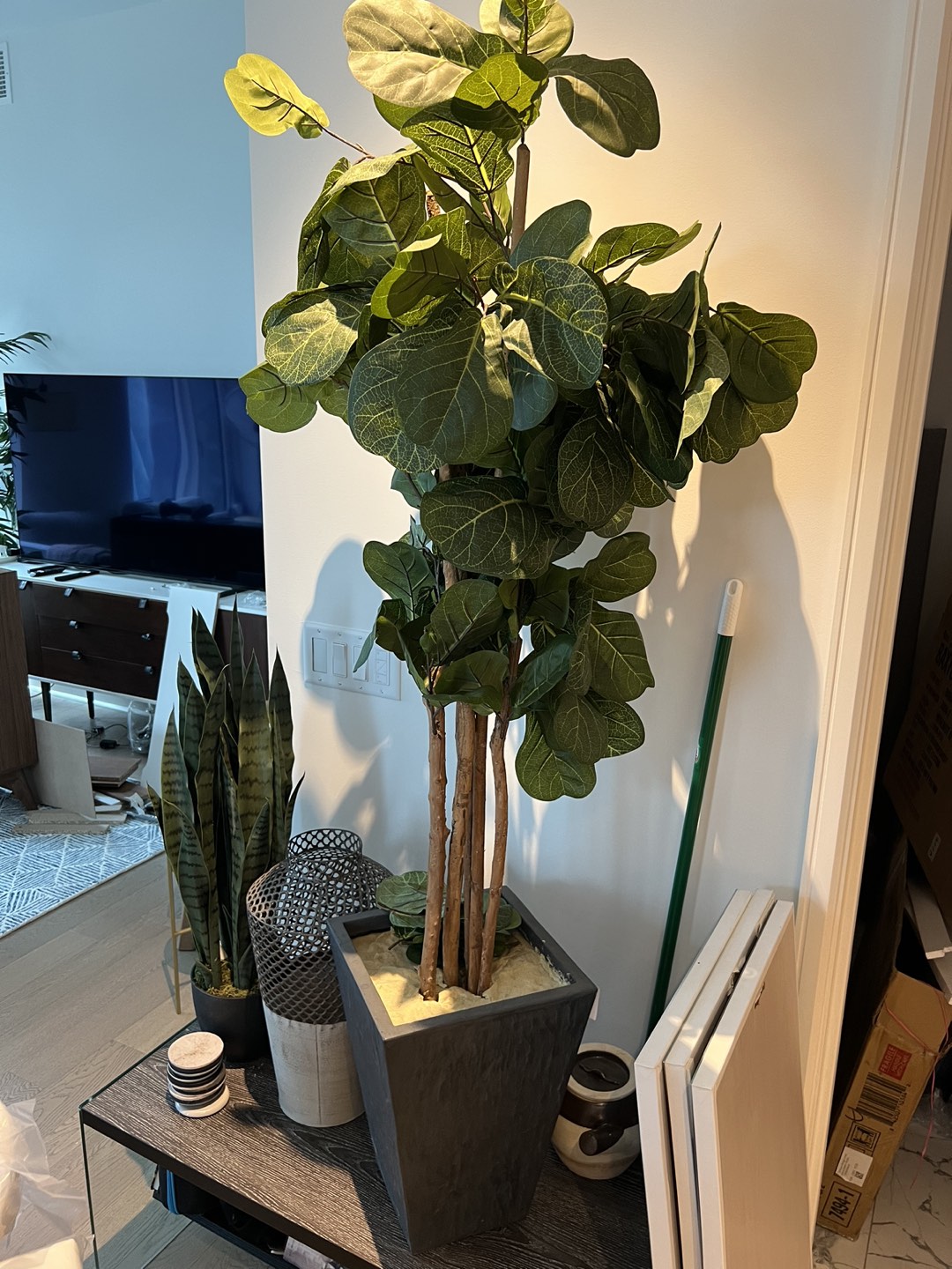 Faux Tall Plant thumbnail