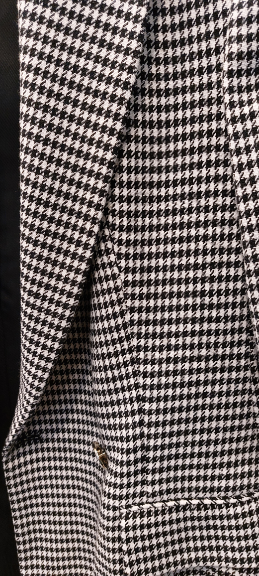 Zara Houndstooth Blazer - photo 2