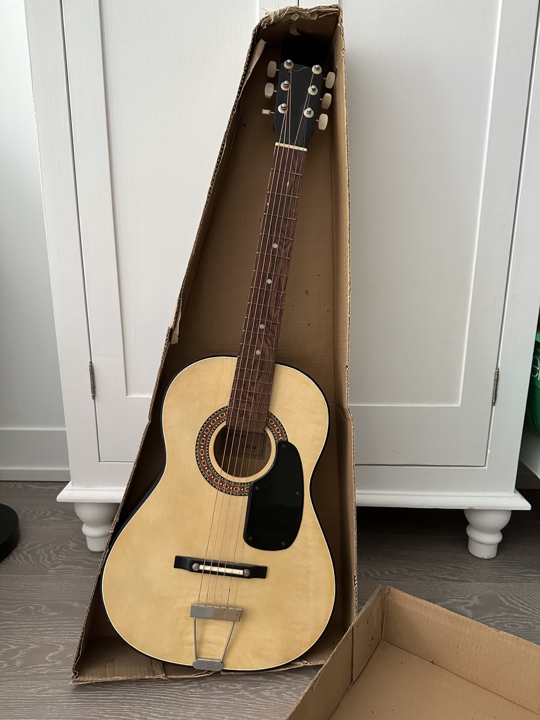 Acoustic Guitar💰 thumbnail