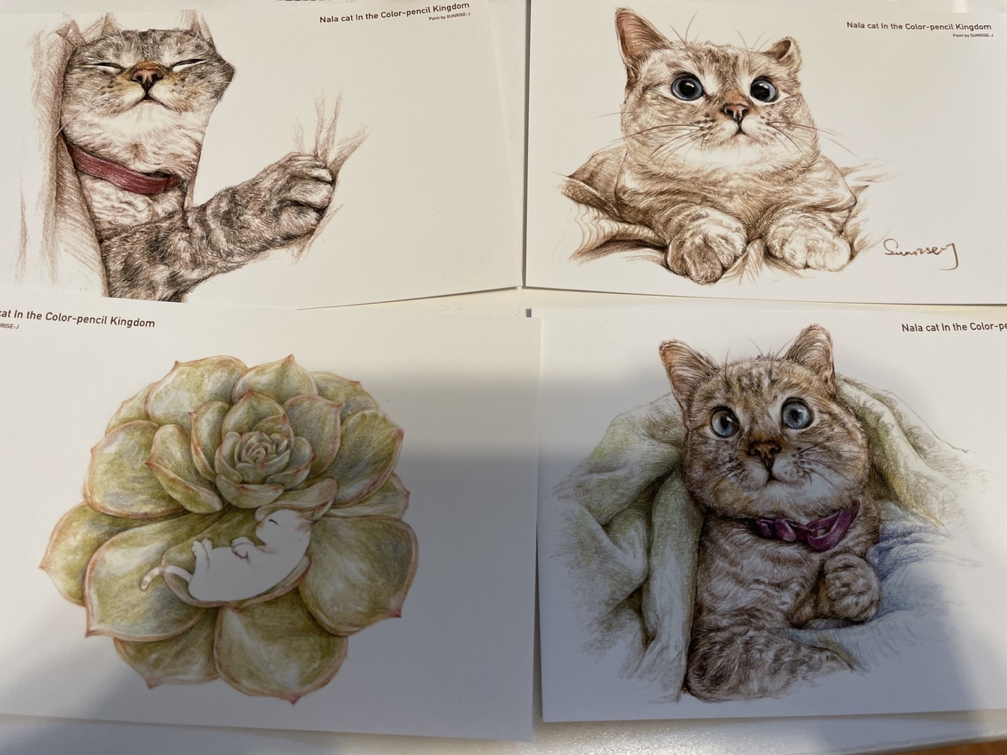 Cats postcards_ 1 dollar for 2 pieces image indicator(3)