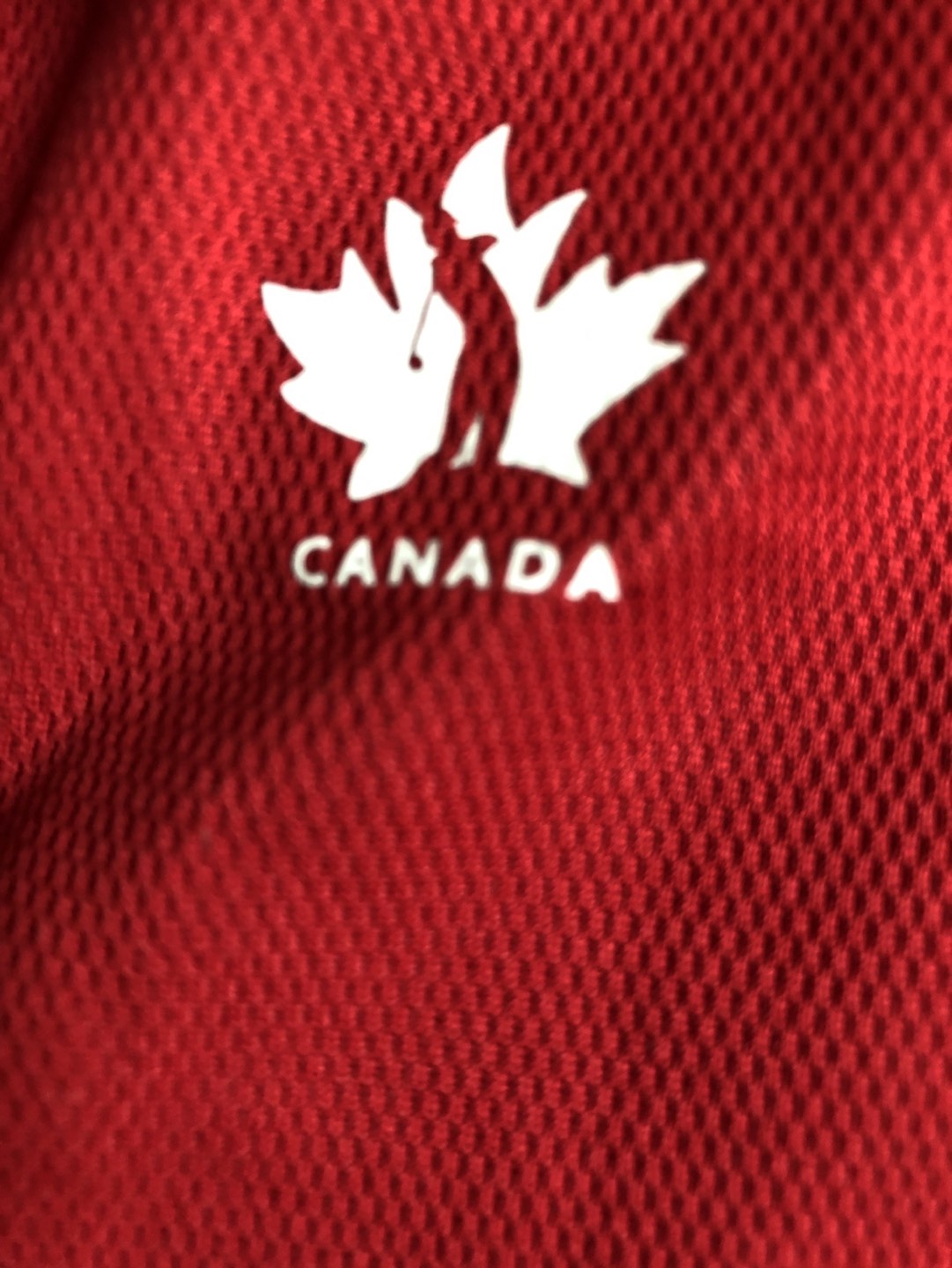 HBC Golf Canada Sleeveless Polo 💰 image indicator(5)