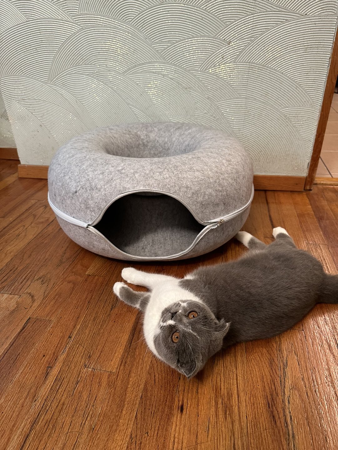 Large Cat Tunnel Bed - 24 inch