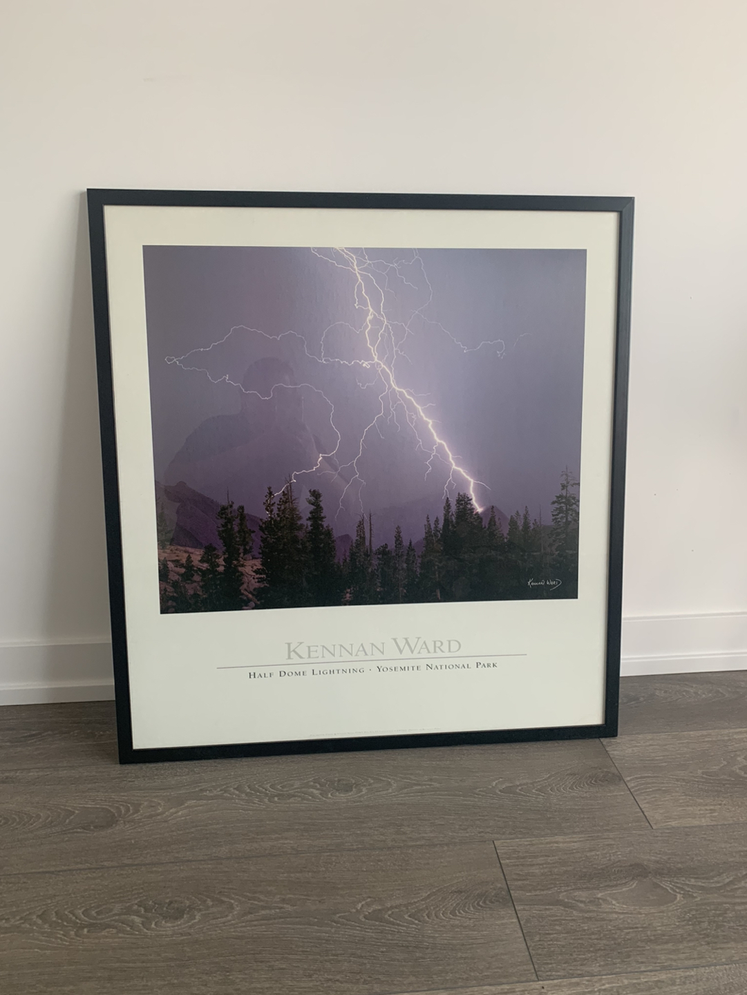 Wall print with frame😻