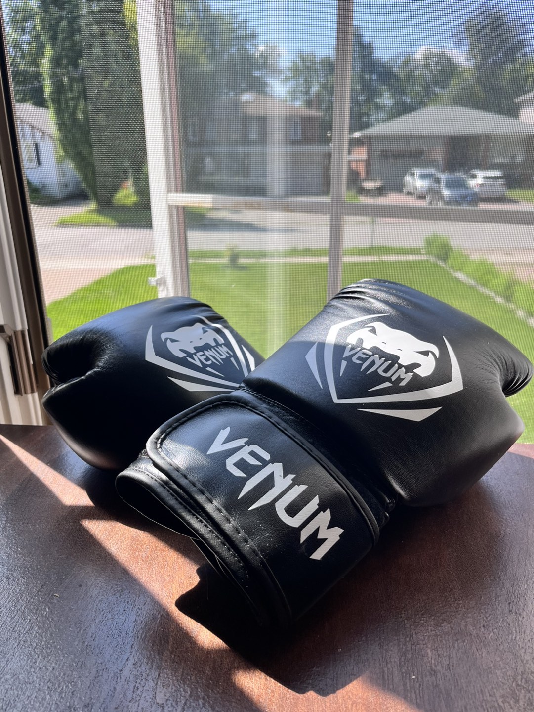 Venum Boxing Gloves (12Oz) thumbnail