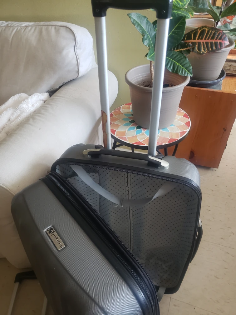 luggage /suitcase - photo 4