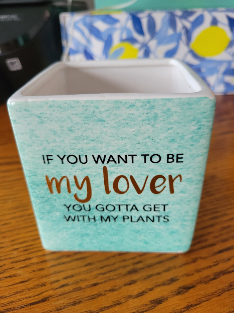 4inch pot thumbnail