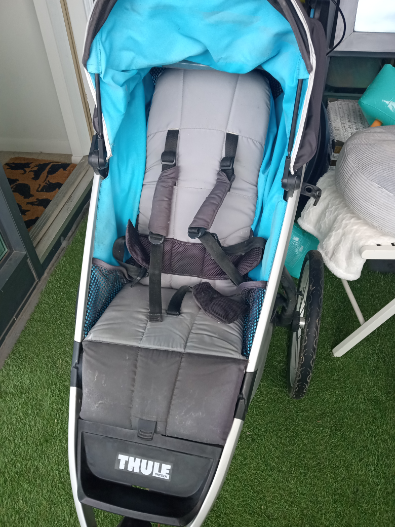 Thule Urban Glide 1 Running Stroller - photo 3