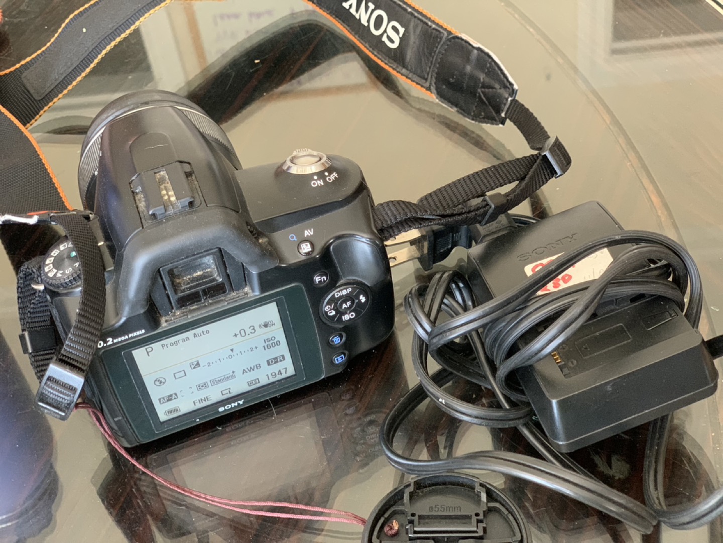 Sony Camera image indicator(3)