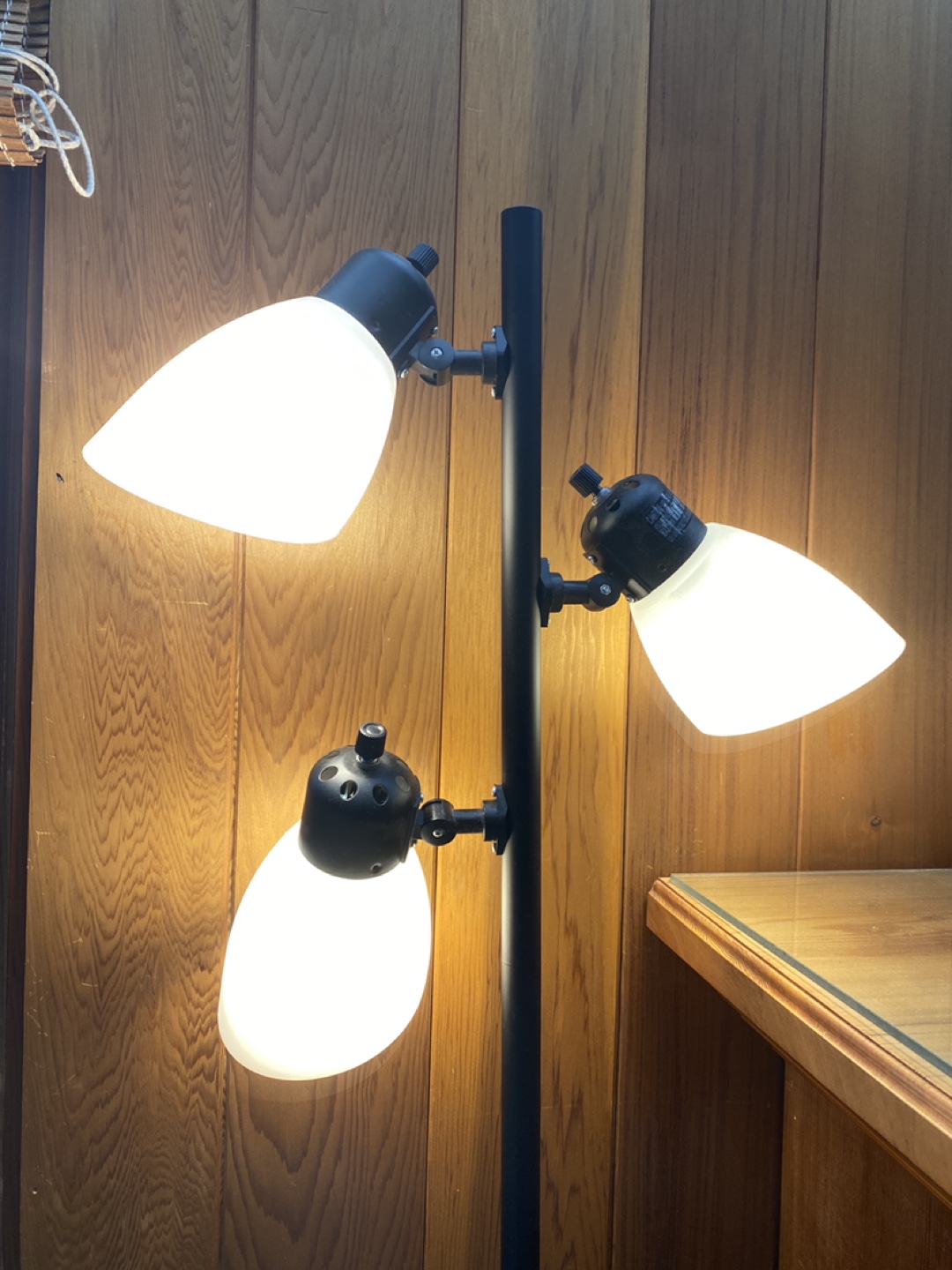 Floor lamp