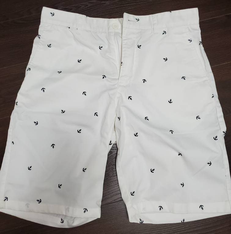 4 Mens Shorts (Stussy & other brands) - photo 3