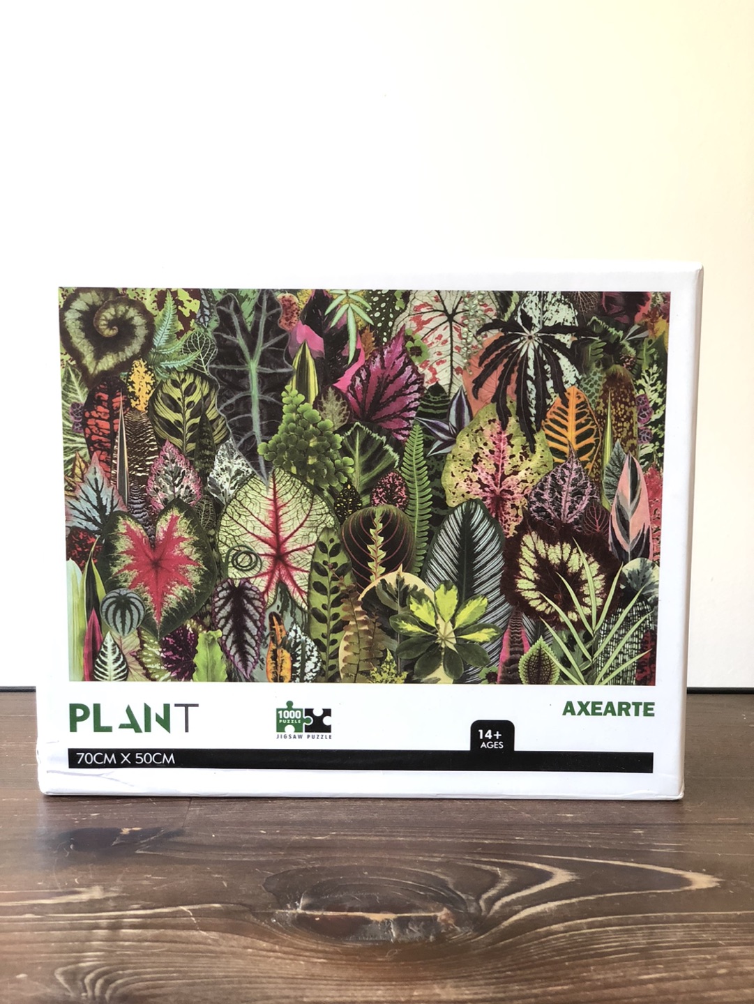 1000 Piece Puzzle thumbnail