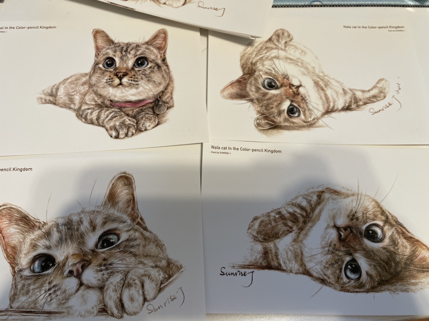 Cats postcards_ 1 dollar for 2 pieces image indicator(2)