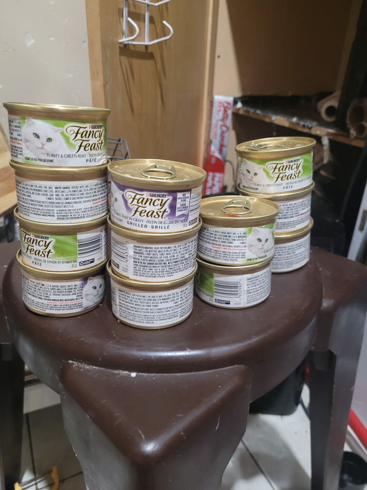 3 new food dishes, water fountain and cat food image indicator(3)