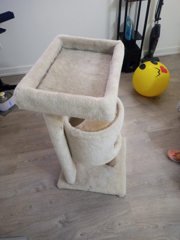 cat Tree 