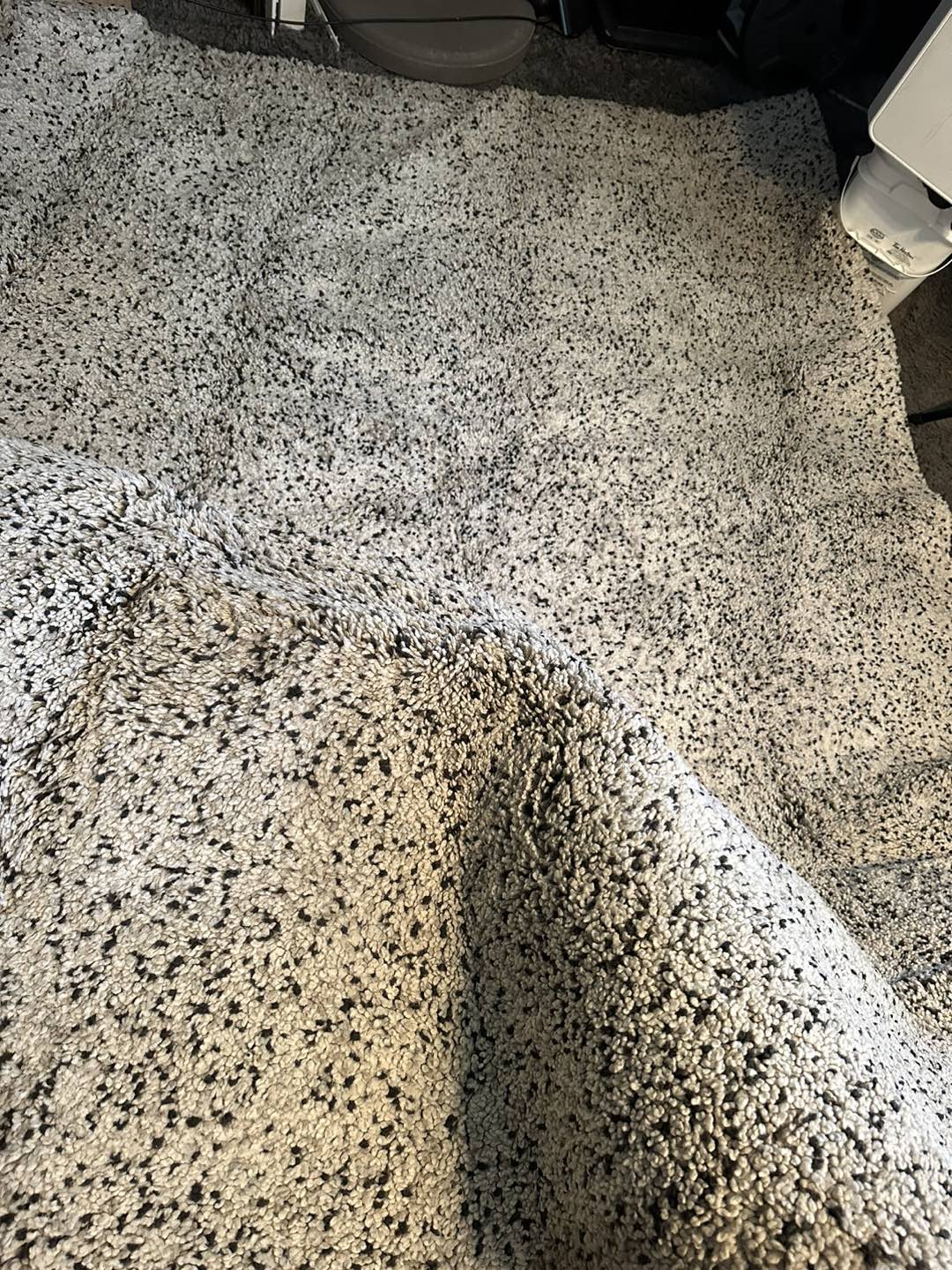 Area Rug from IKEA - Vindum - photo 2
