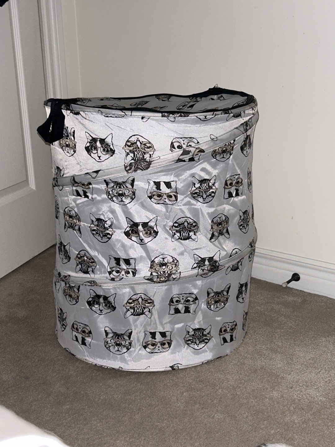 Cat Laundry hamper