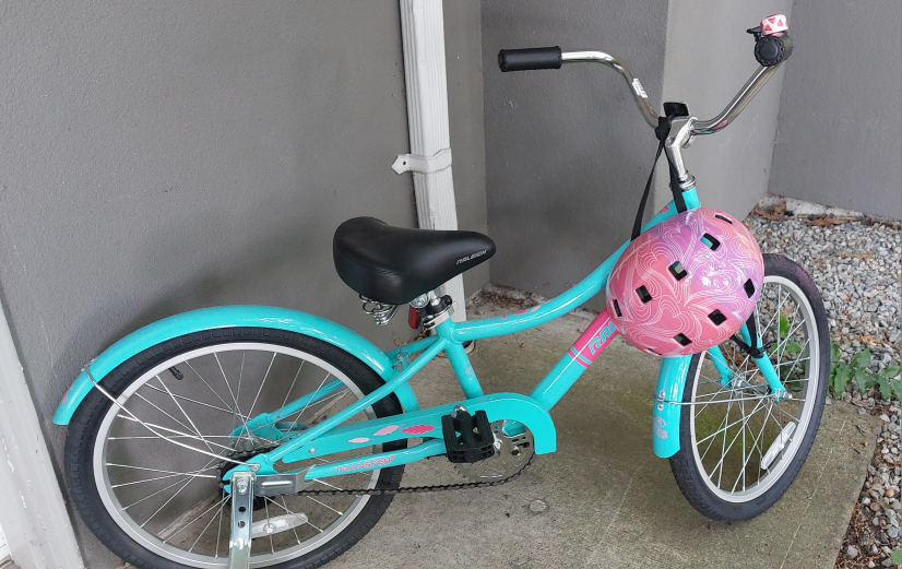 Raleigh Sunrise Youth Cruiser Bike, 20"