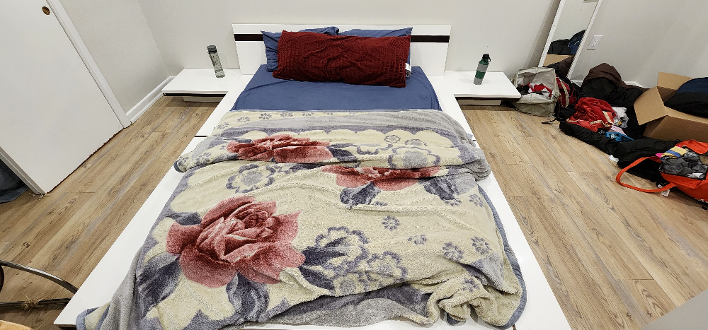 queen size low bed frame