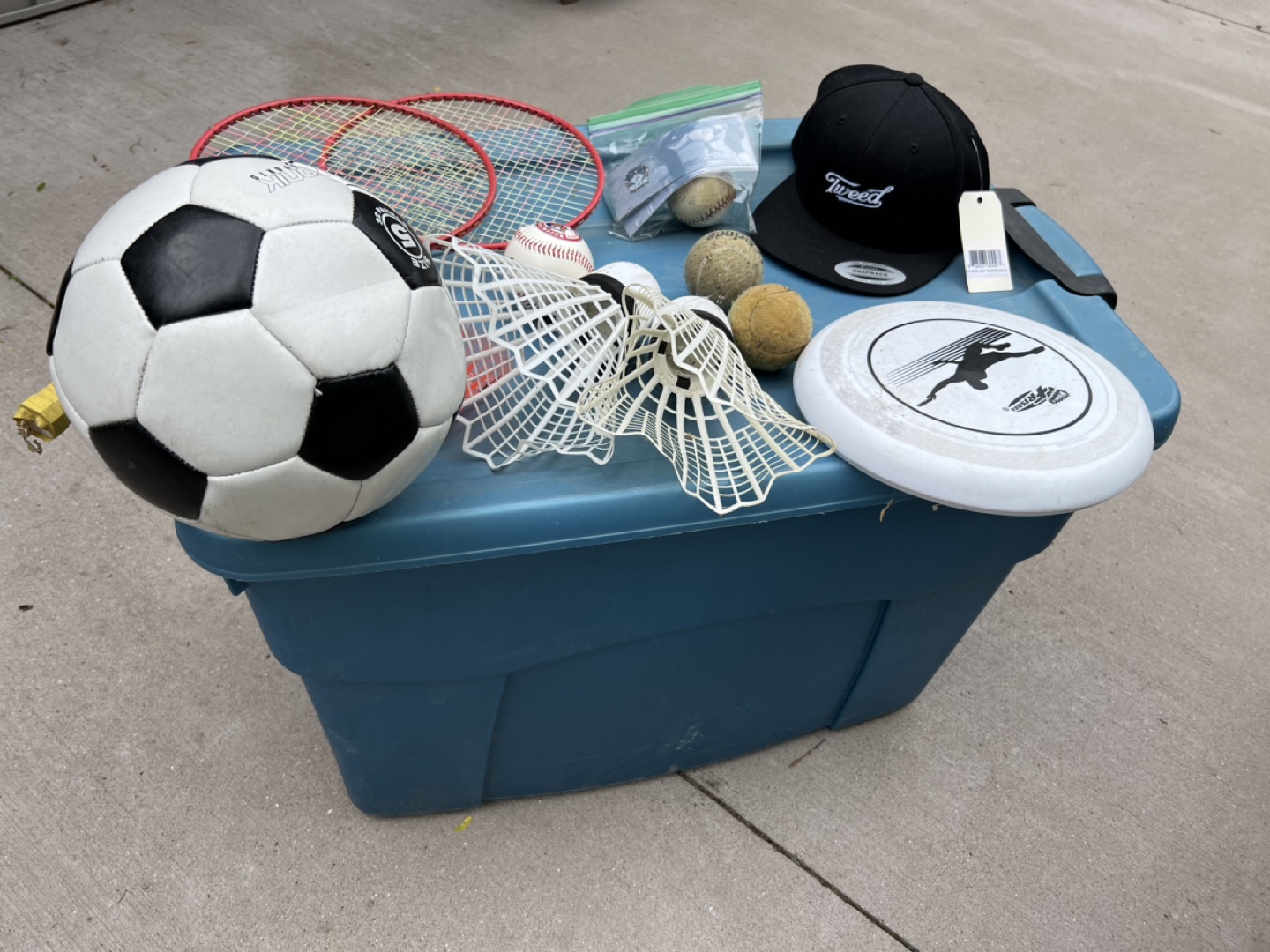 Large tote with sports play items image indicator(3)